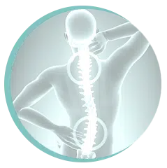 Physiotherapy treatment approach for lower back pain Illustration showing the spine and areas affected by lower back pain